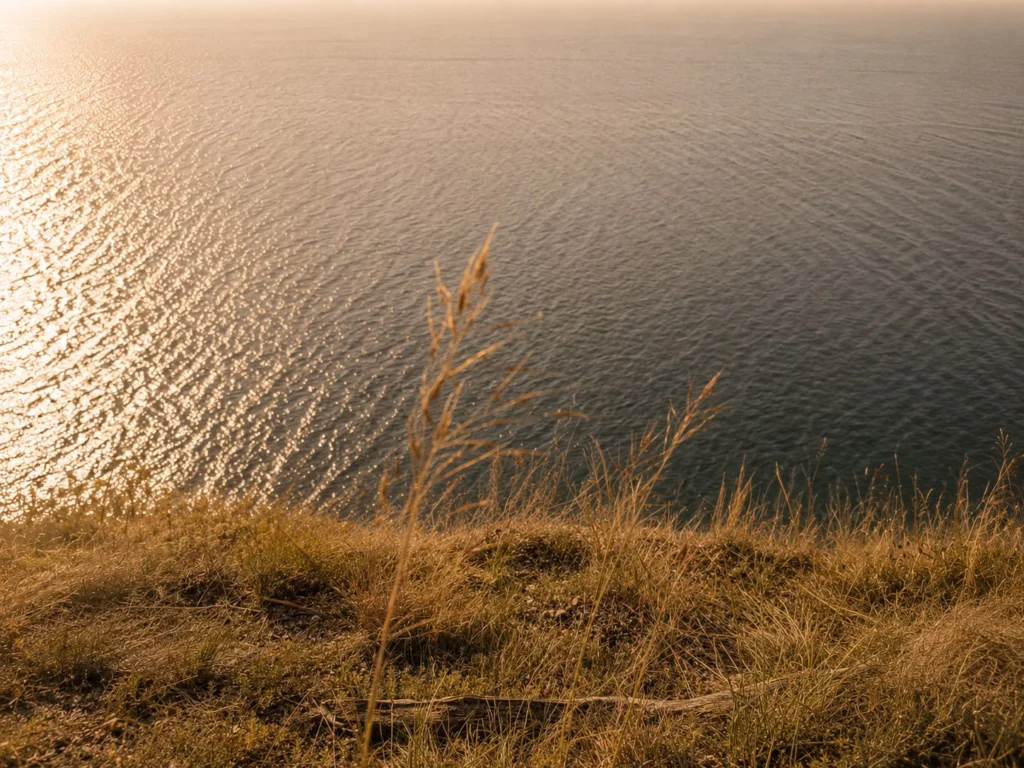 Vista dall’Alto – Rocca di Manerba